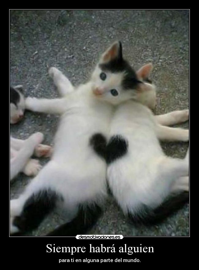 Siempre habrá alguien - 