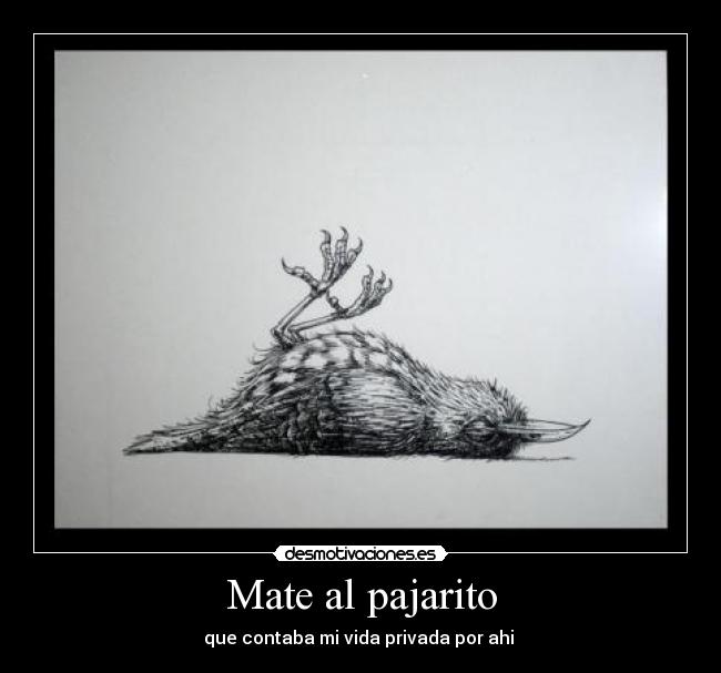 Mate al pajarito - 