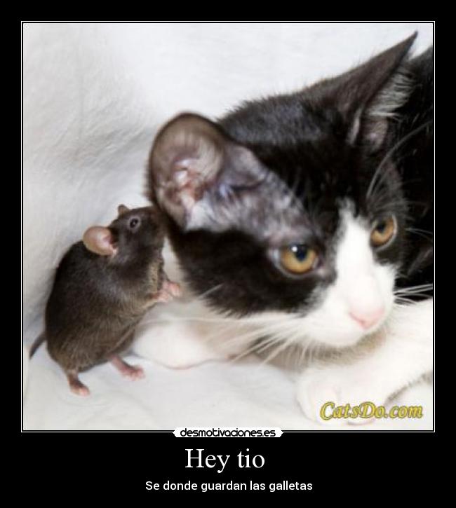 Hey tio - Se donde guardan las galletas