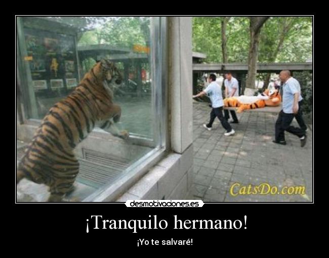 ¡Tranquilo hermano! - 