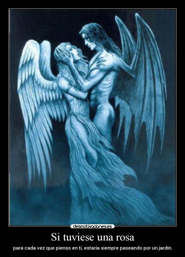 Si tuviese una rosa - para cada vez que pienso en ti, estaría siempre paseando por un jardín.