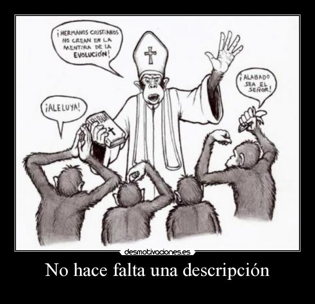 No hace falta una descripción - 