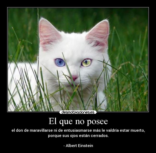 El que no posee - 