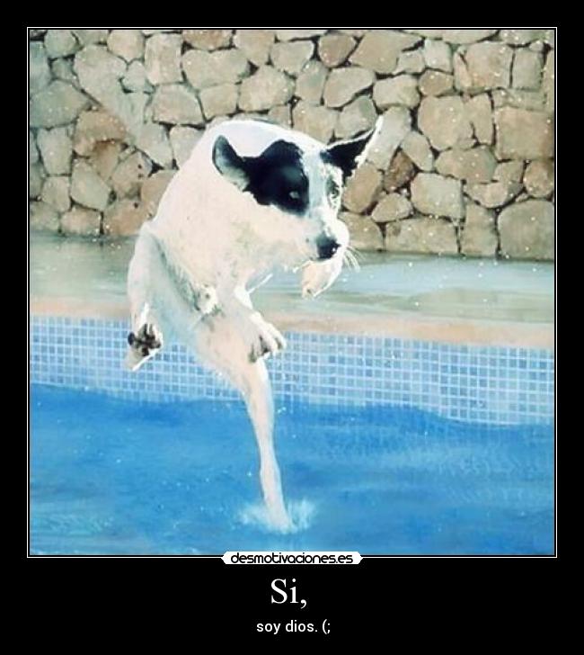 carteles jqee96 desmotivaciones