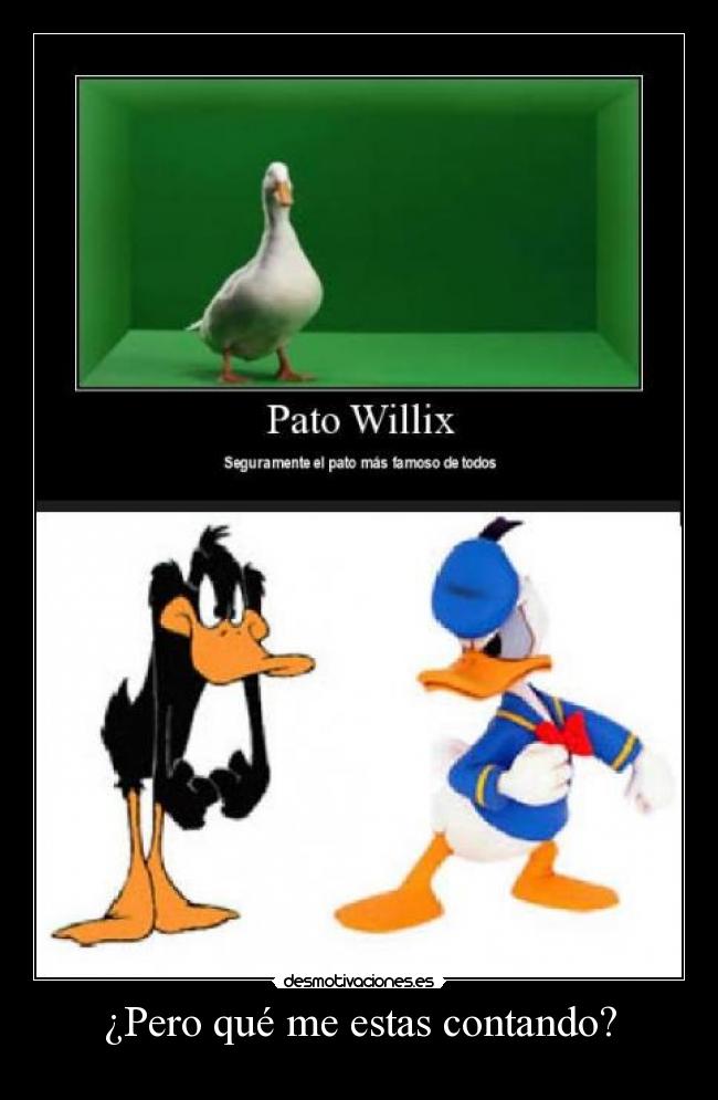 ¿Pero qué me estas contando? -