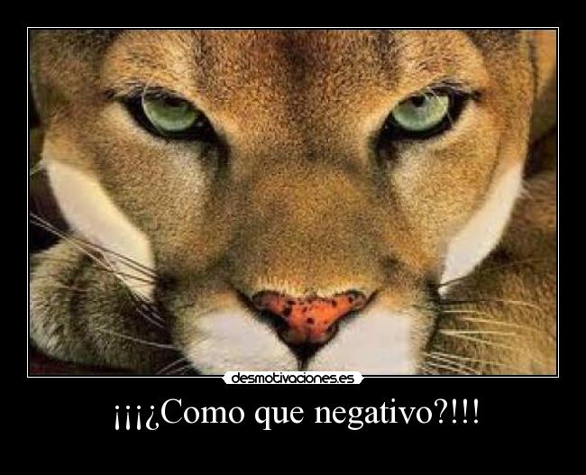 ¡¡¡¿Como que negativo?!!! -