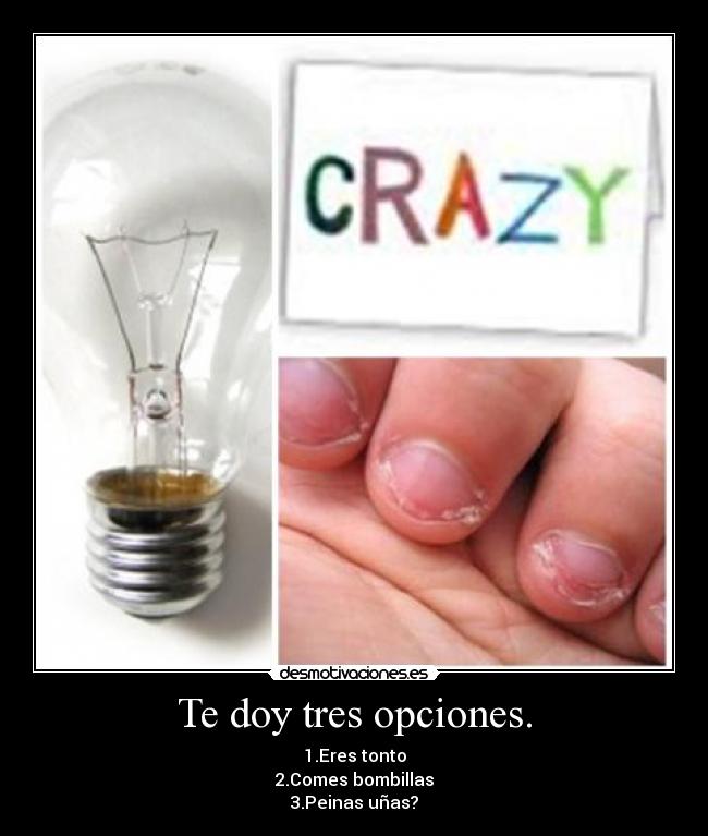 Te doy tres opciones. - 1.Eres tonto
2.Comes bombillas
3.Peinas uñas?