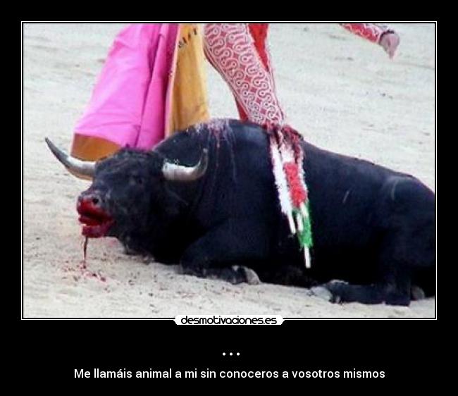 ... - Me llamáis animal a mi sin conoceros a vosotros mismos
