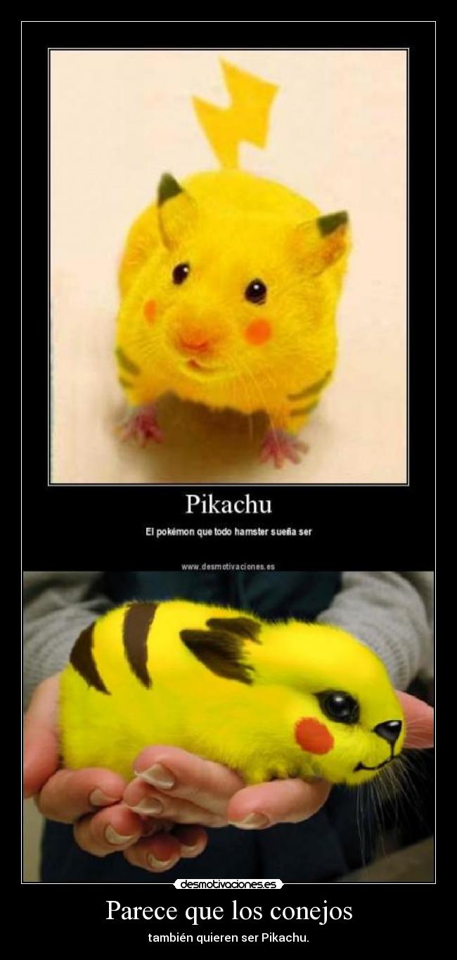 Parece que los conejos - también quieren ser Pikachu.