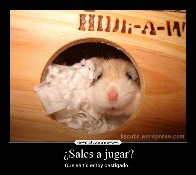 ¿Sales a jugar? -