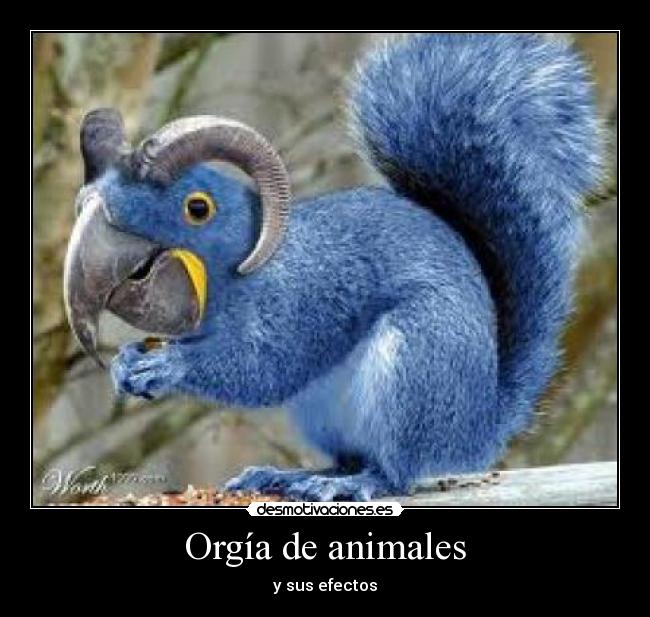 Orgía de animales - y sus efectos