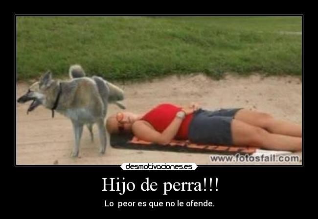 Hijo de perra!!! - Lo peor es que no le ofende.