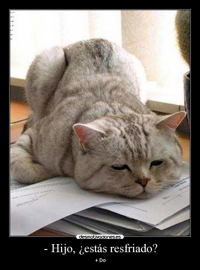 - Hijo, ¿estás resfriado? - 