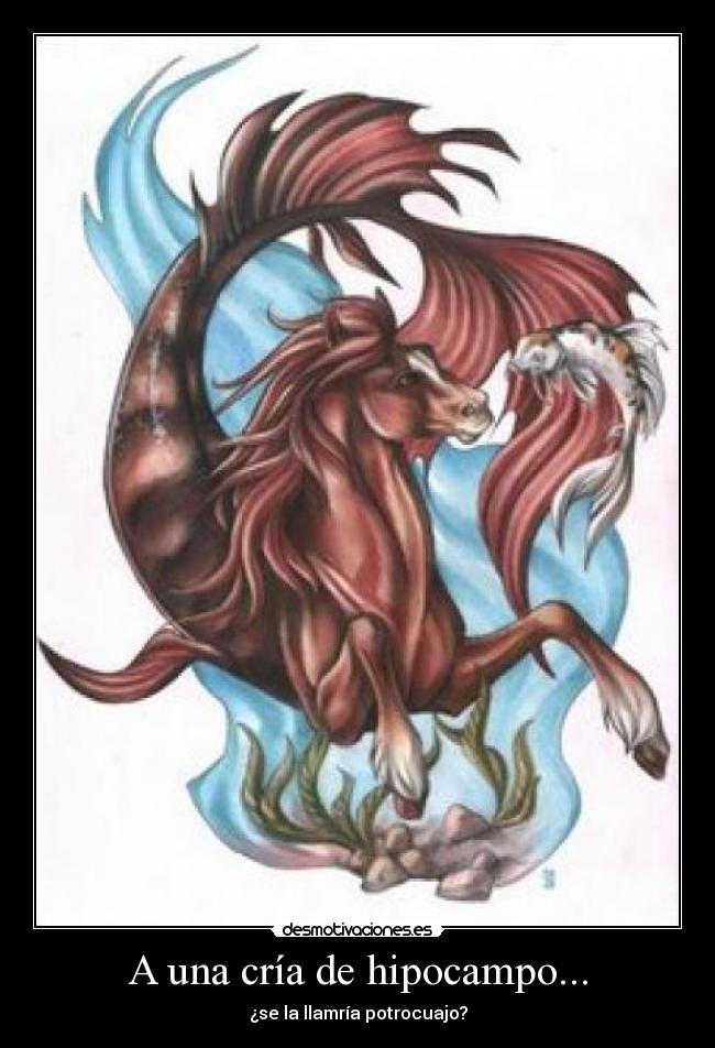 A una cría de hipocampo... - ¿se la llamría potrocuajo?