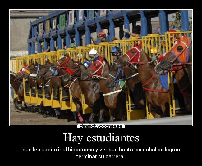 Hay estudiantes - que les apena ir al hipódromo y ver que hasta los caballos logran
terminar su carrera.