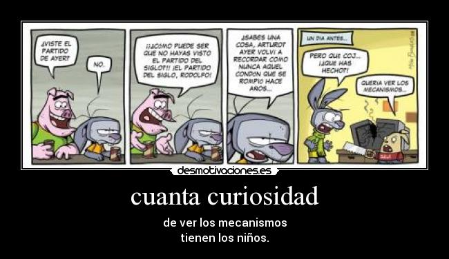 cuanta curiosidad -