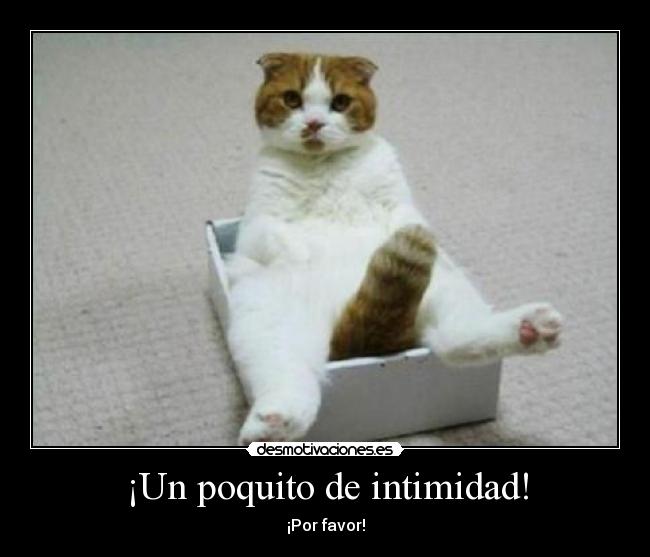 carteles cat desmotivaciones