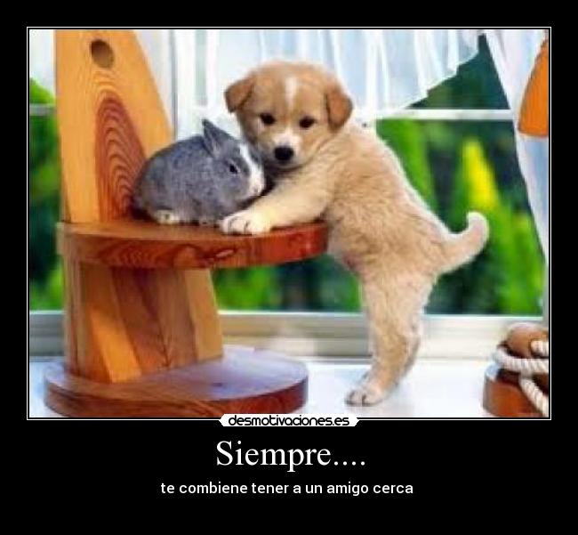 Siempre.... - 