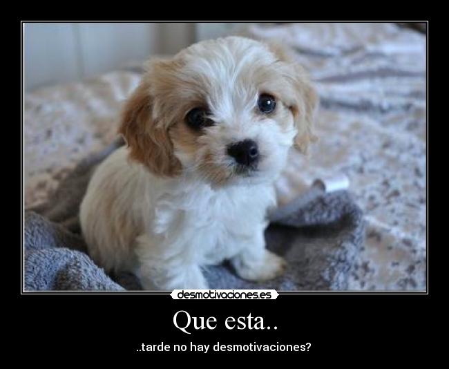 Que esta.. - ..tarde no hay desmotivaciones?