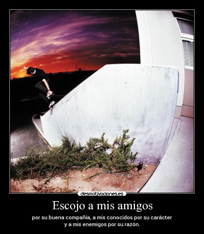 Escojo a mis amigos - por su buena compañía, a mis conocidos por su carácter
y a mis enemigos por su razón.