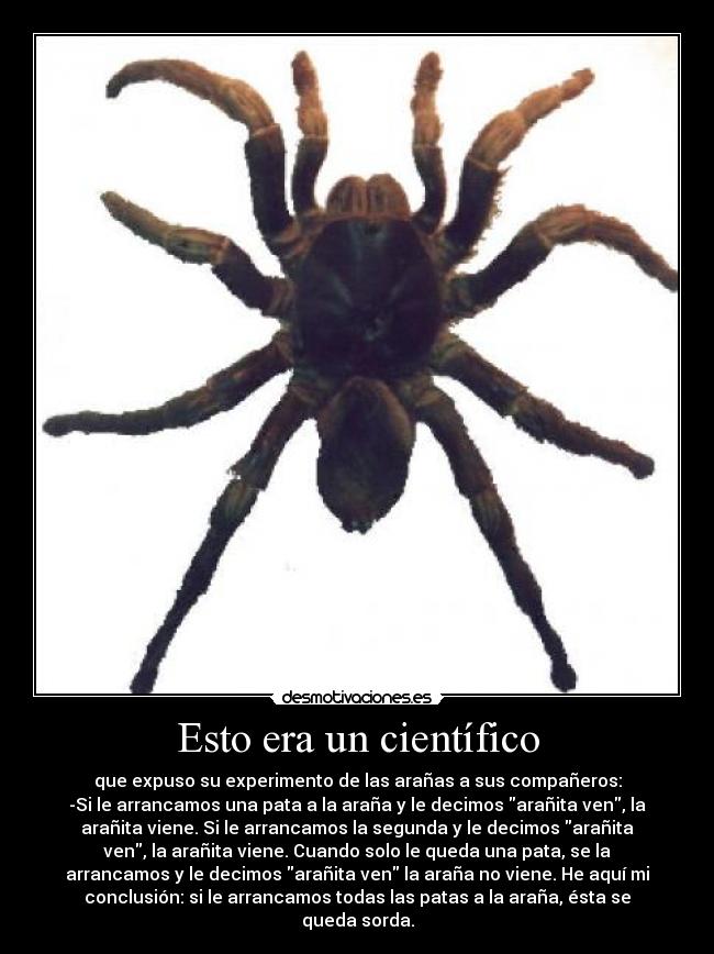 Esto era un científico -