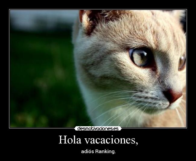 Hola vacaciones, -