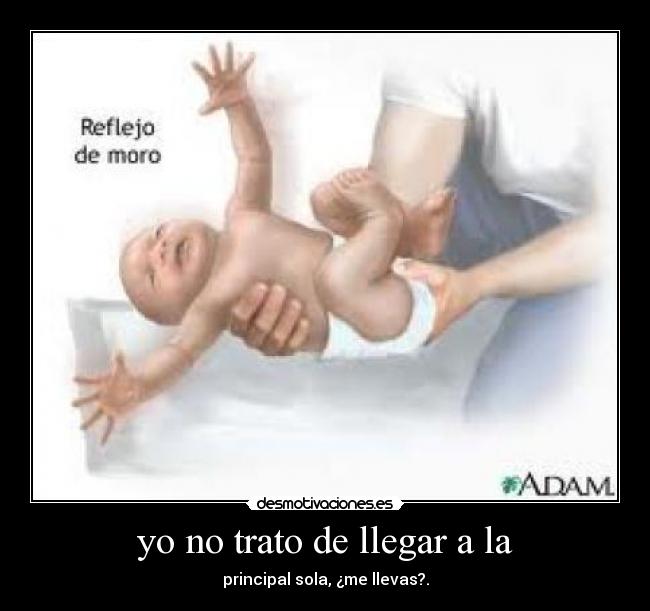 yo no trato de llegar a la - 