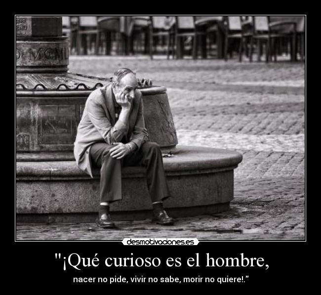 ¡Qué curioso es el hombre, - 