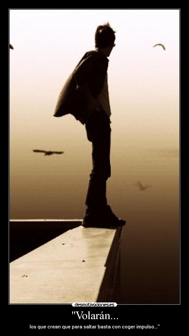 carteles volarancreancogerimpulsosaltarbasta desmotivaciones
