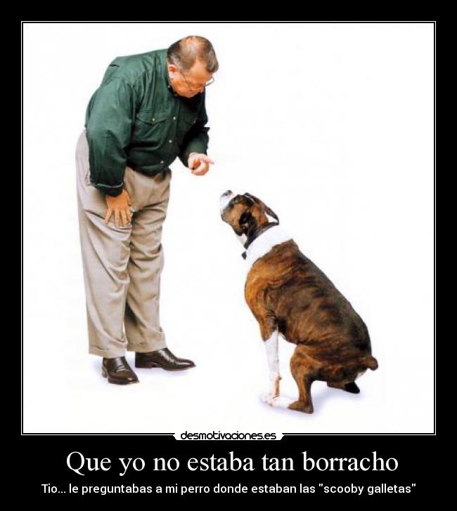  Que yo no estaba tan borracho - Tio... le preguntabas a mi perro donde estaban las scooby galletas