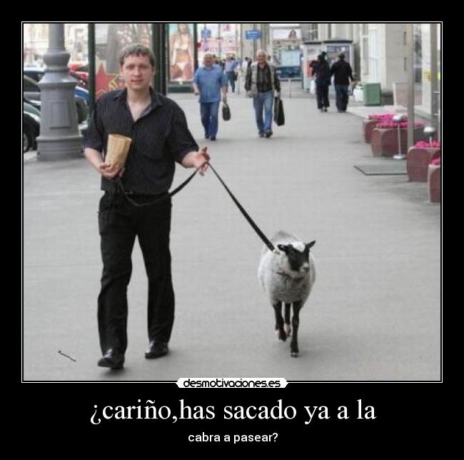 ¿cariño,has sacado ya a la - cabra a pasear?