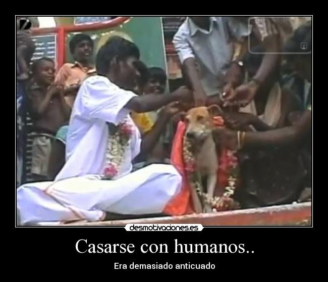Casarse con humanos.. -