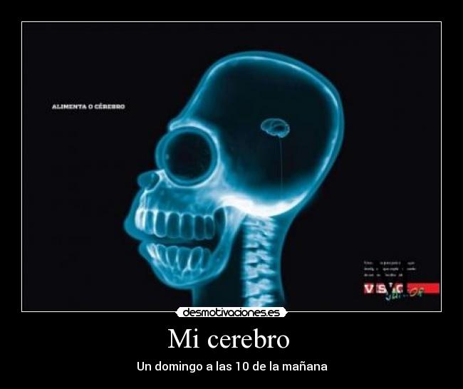 Mi cerebro -