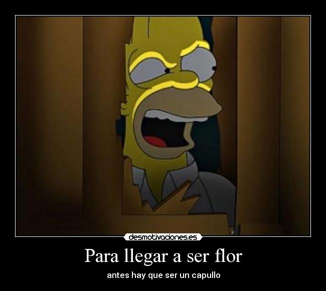 Para llegar a ser flor - antes hay que ser un capullo