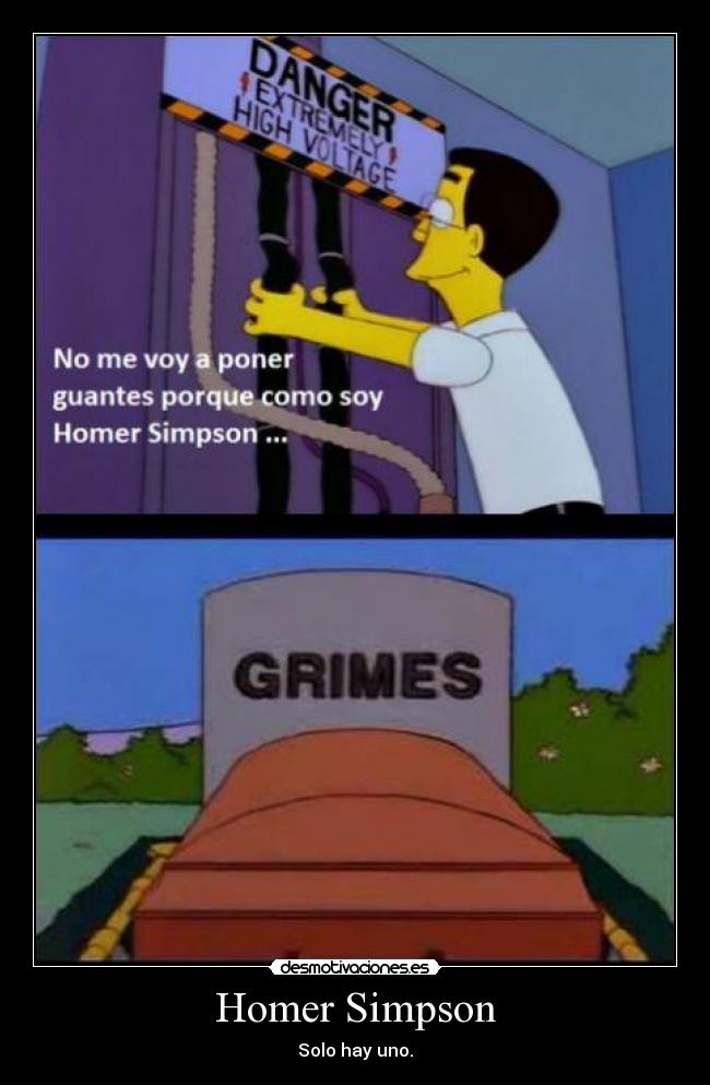 Homer Simpson - Solo hay uno.