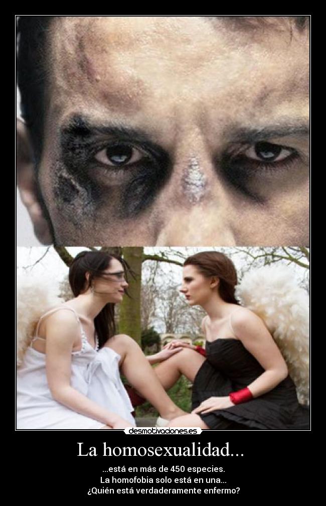 La homosexualidad... - ...está en más de 450 especies.
La homofobia solo está en una...
¿Quién está verdaderamente enfermo?