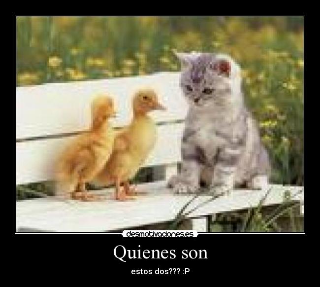 Quienes son - 