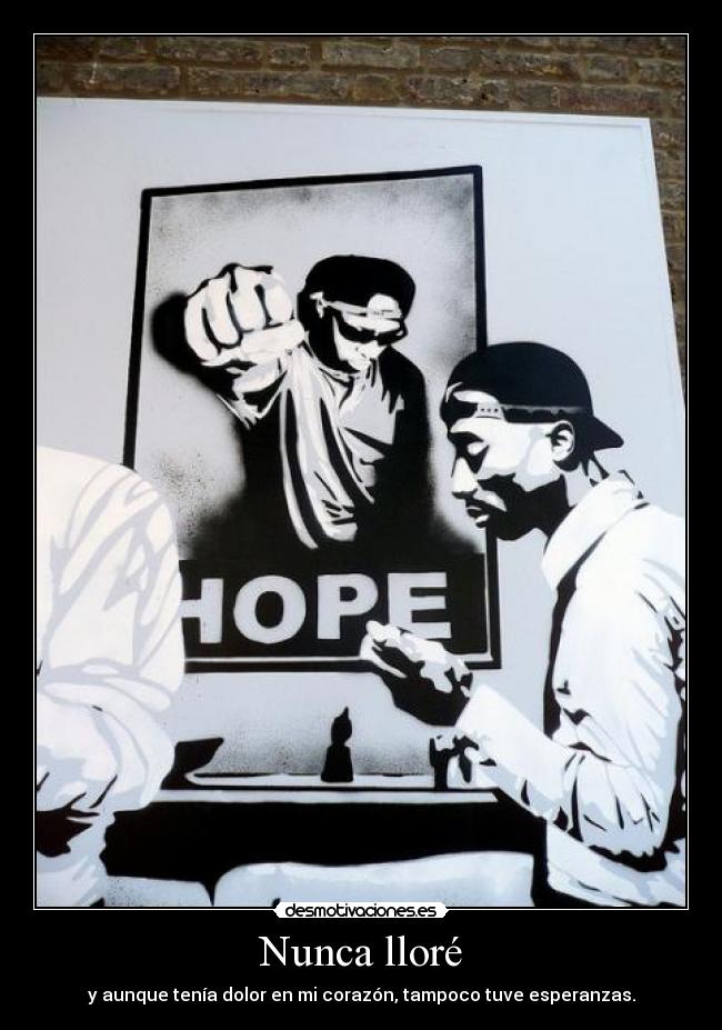 Nunca lloré - y aunque tenía dolor en mi corazón, tampoco tuve esperanzas.