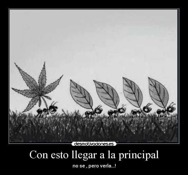 Con esto llegar a la principal - no se , pero verla...!