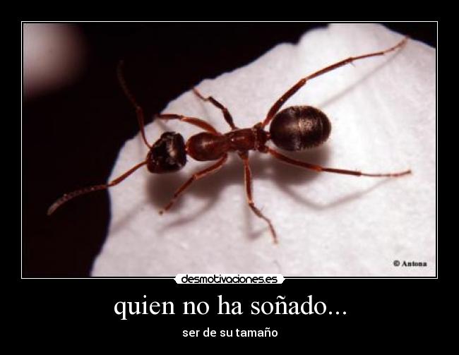 quien no ha soñado... - ser de su tamaño
