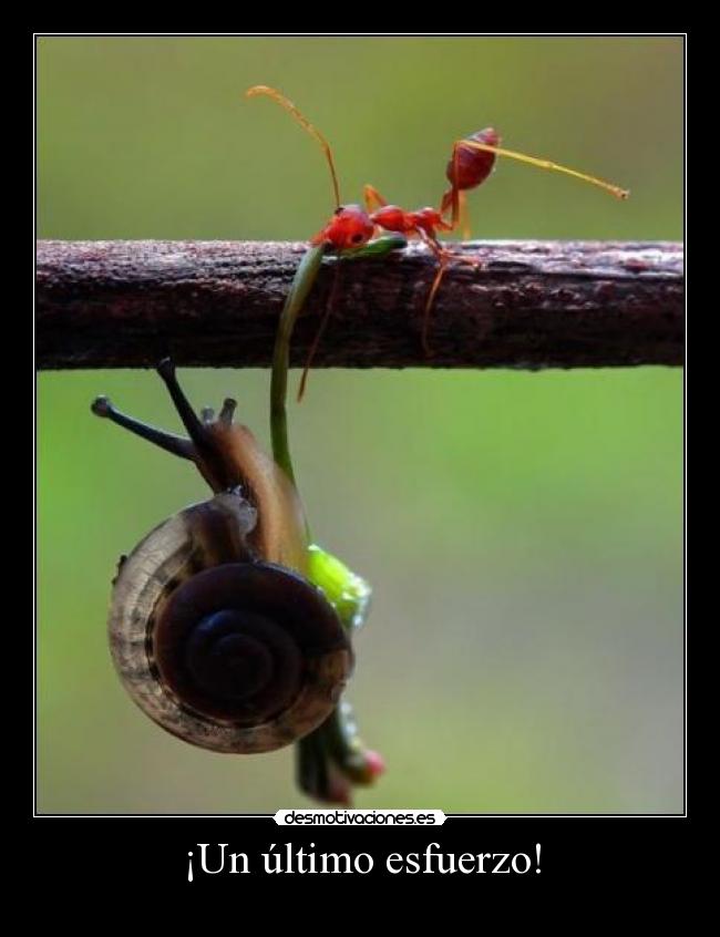 ¡Un último esfuerzo! - 