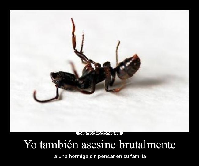 Yo también asesine brutalmente -