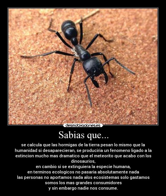 Sabias que... -