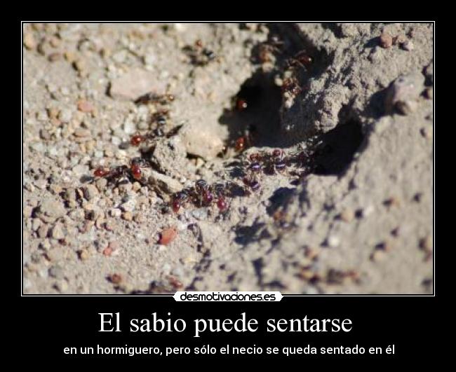 carteles proverbios desmotivaciones