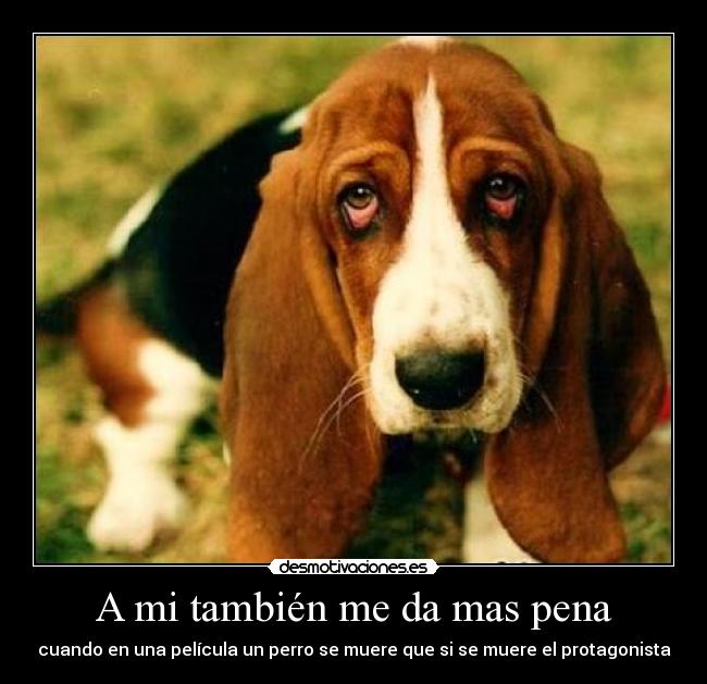 A mi también me da mas pena - cuando en una película un perro se muere que si se muere el protagonista
