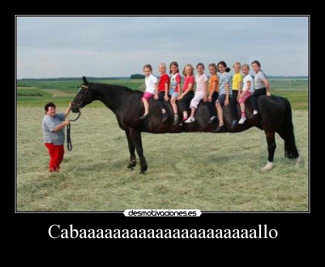 Cabaaaaaaaaaaaaaaaaaaaaallo -