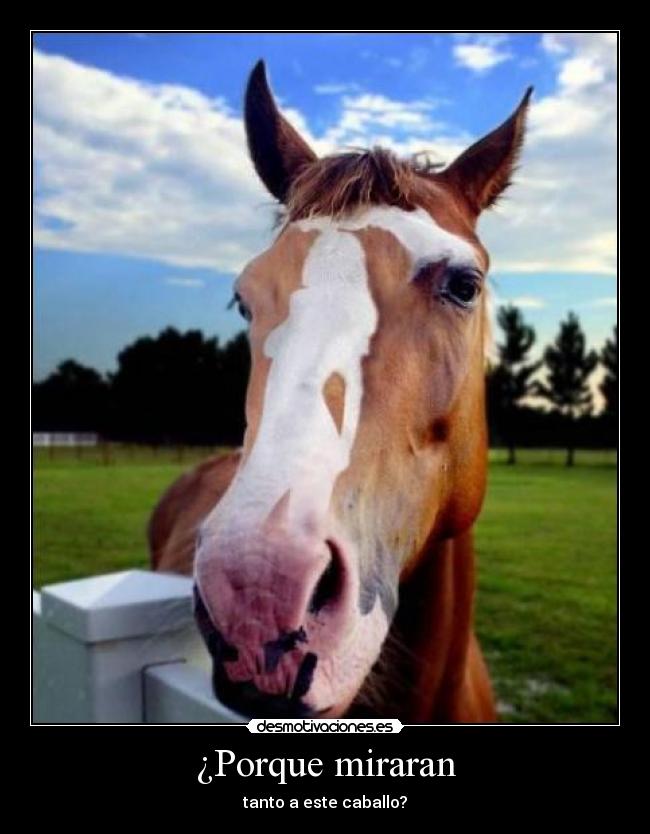 ¿Porque miraran - 