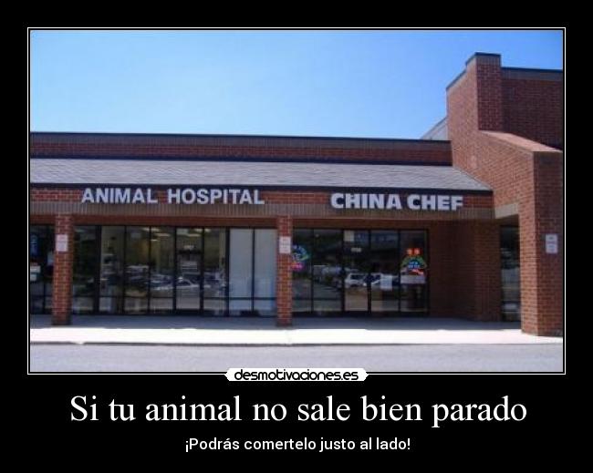 Si tu animal no sale bien parado - ¡Podrás comertelo justo al lado!