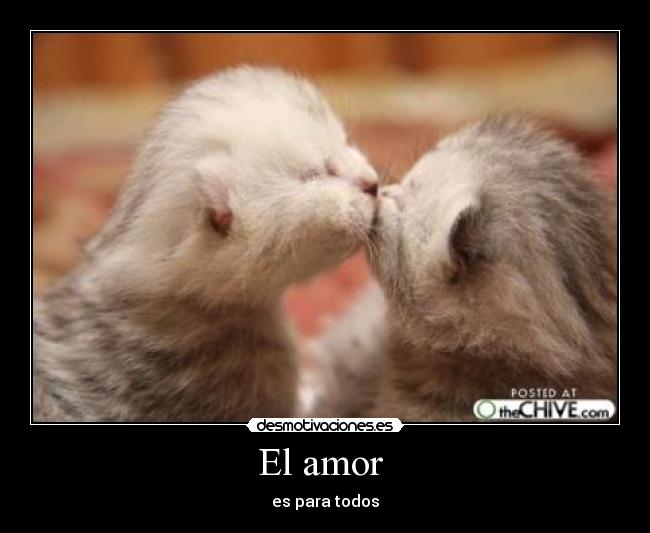 El amor  - es para todos