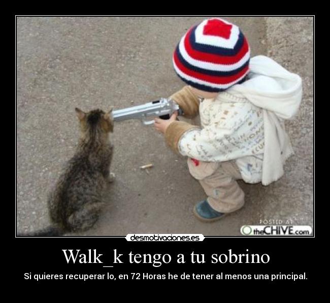 Walk_k tengo a tu sobrino - Si quieres recuperar lo, en 72 Horas he de tener al menos una principal.